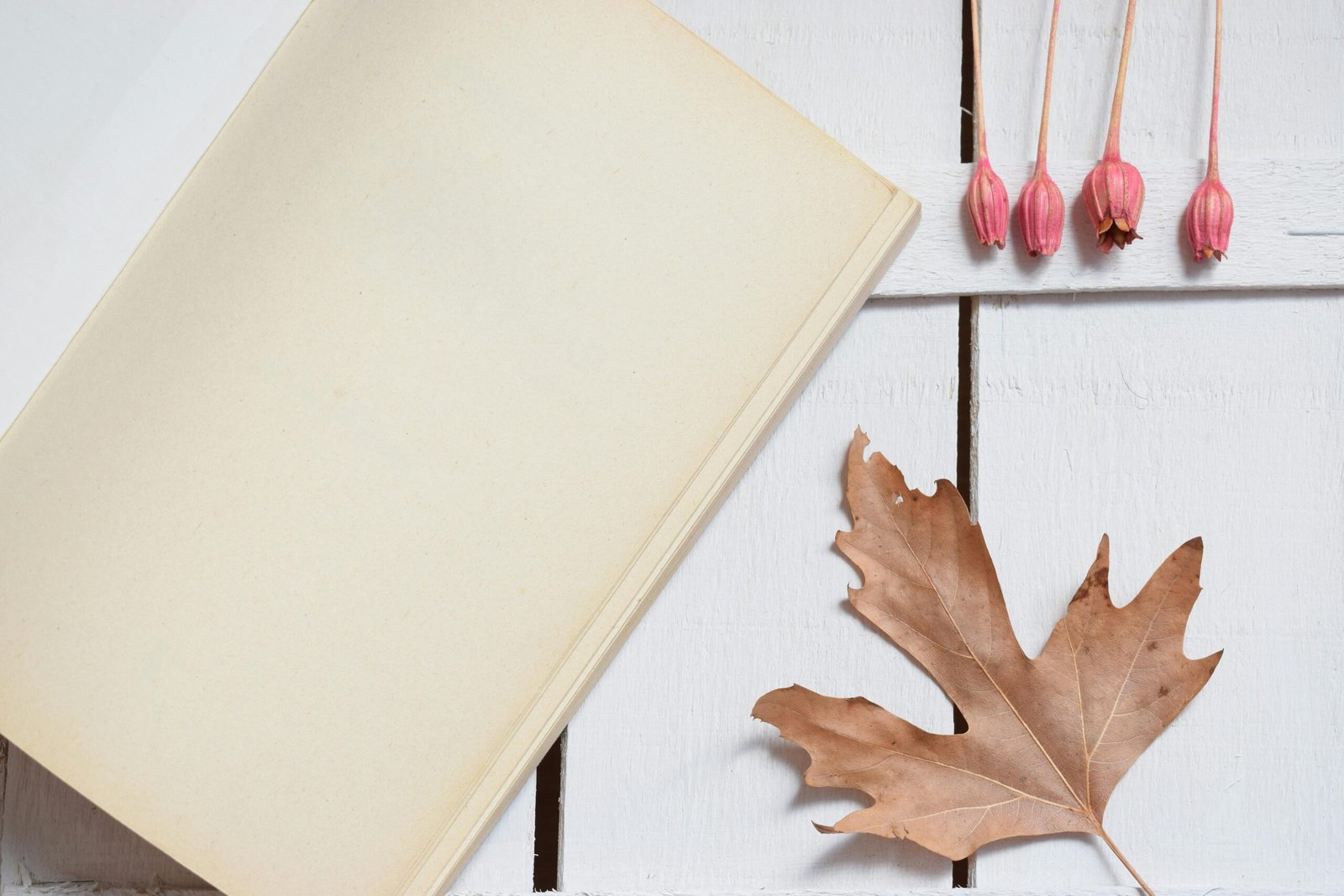 Book Binding Adhesive