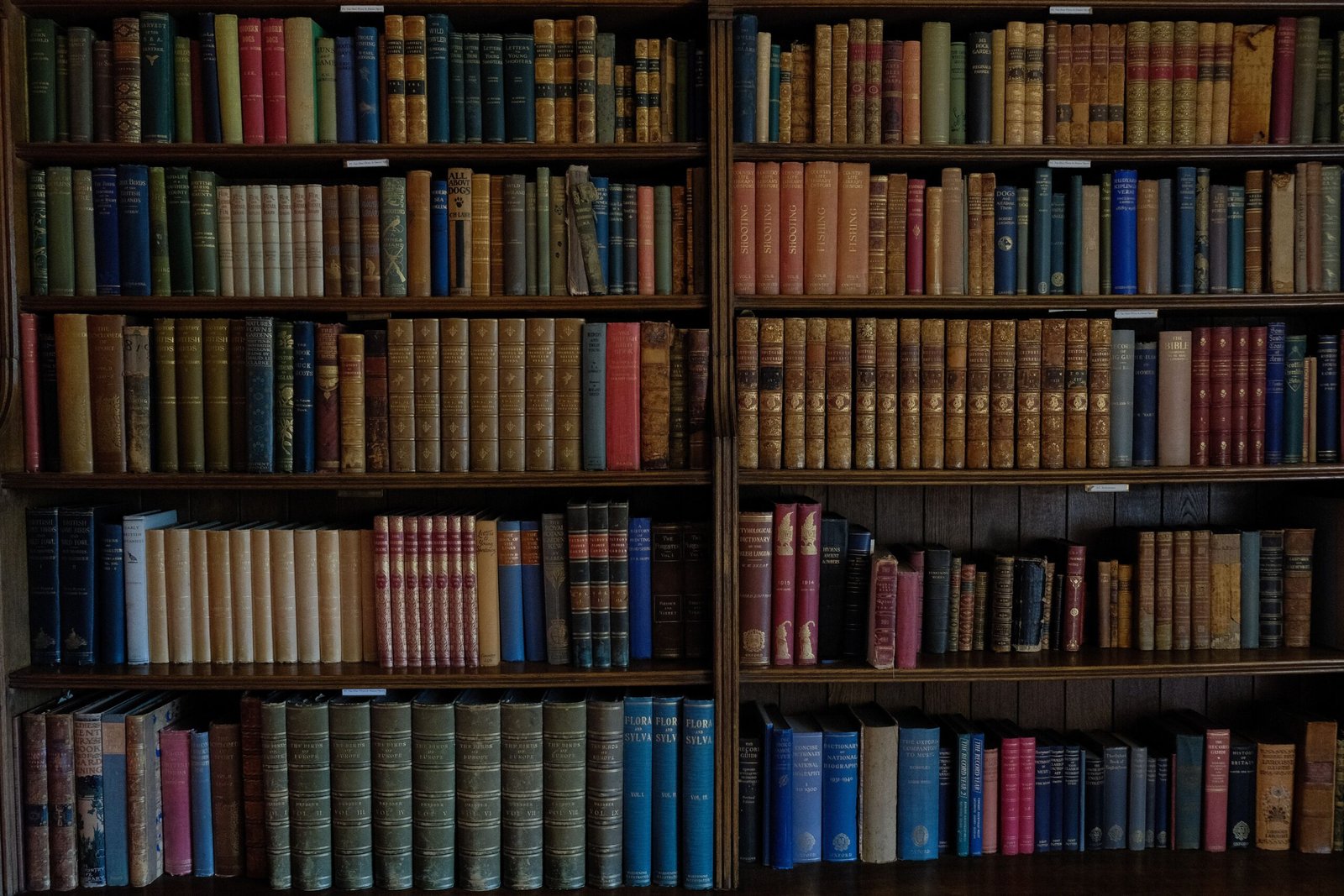 Library editions